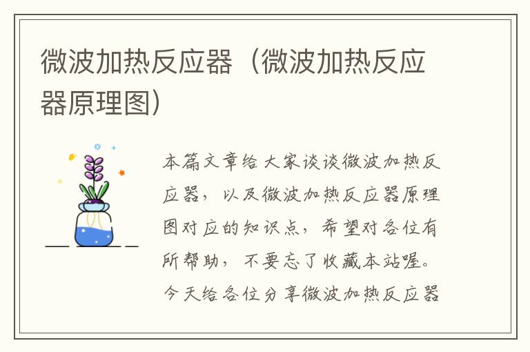 微波加热反应器（微波加热反应器原理图）