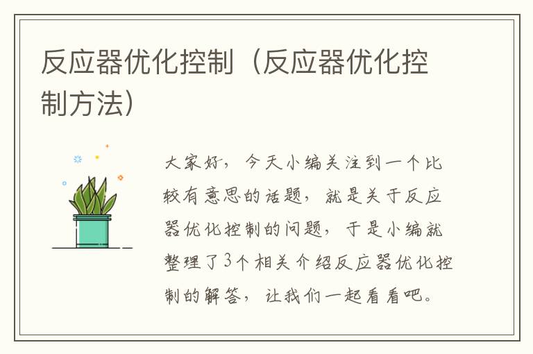 反应器优化控制（反应器优化控制方法）