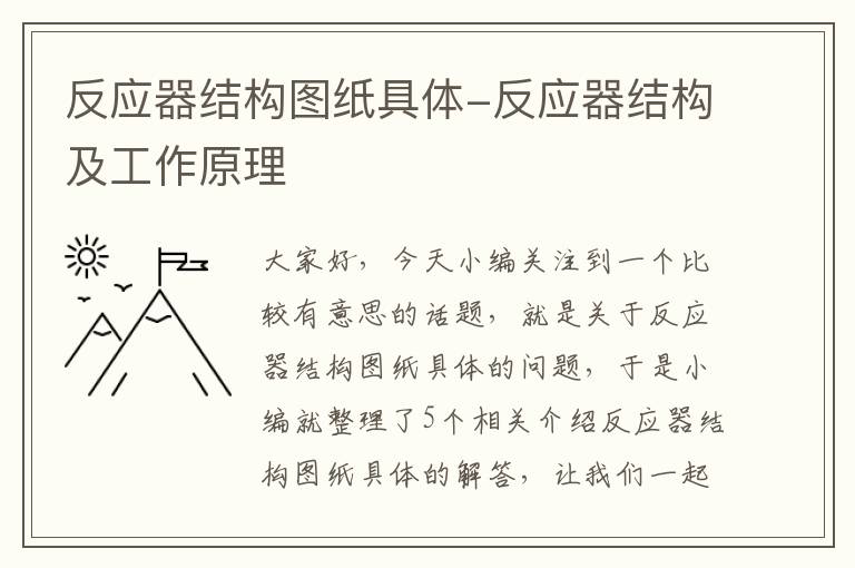 反应器结构图纸具体-反应器结构及工作原理