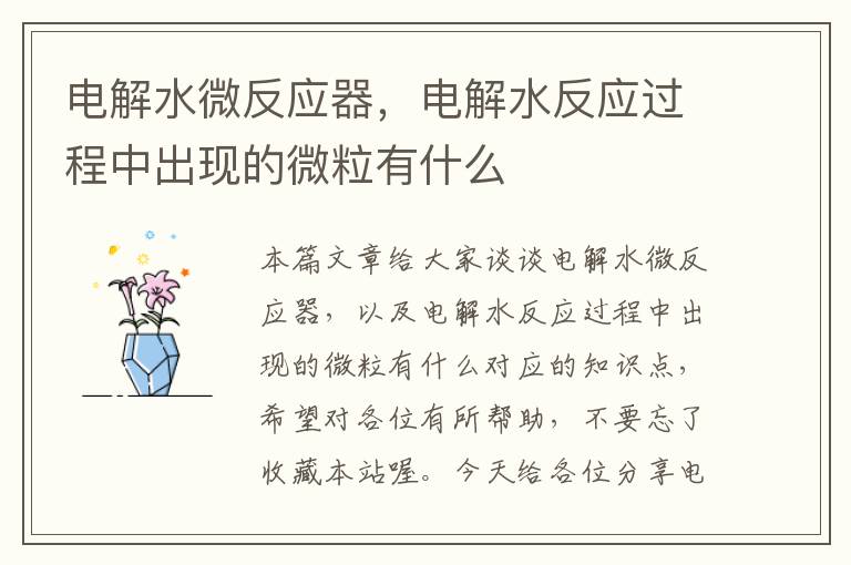 电解水微反应器，电解水反应过程中出现的微粒有什么