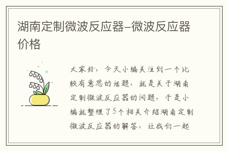 湖南定制微波反应器-微波反应器价格