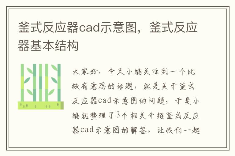 釜式反应器cad示意图，釜式反应器基本结构