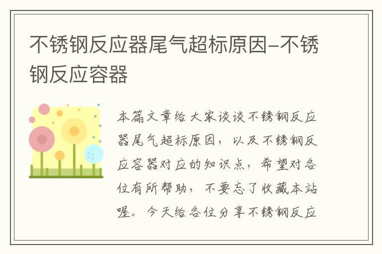 不锈钢反应器尾气超标原因-不锈钢反应容器