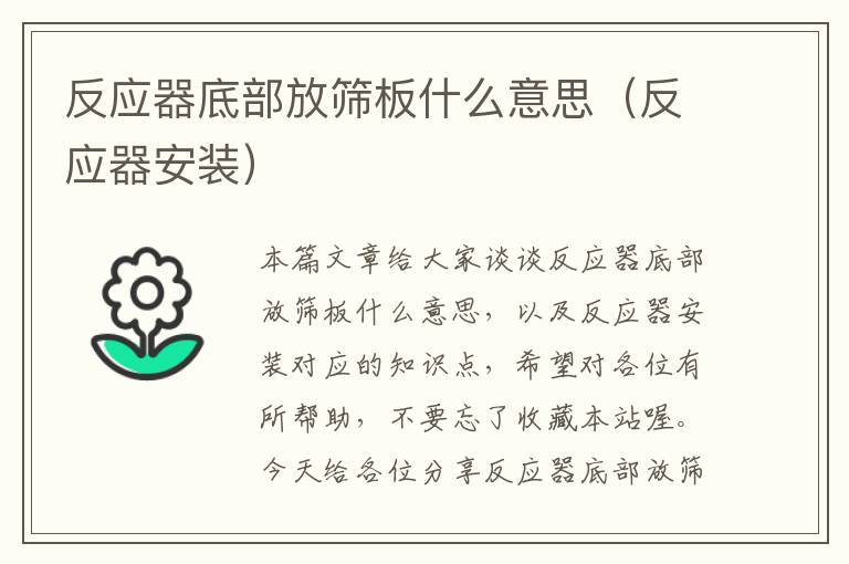 反应器底部放筛板什么意思（反应器安装）