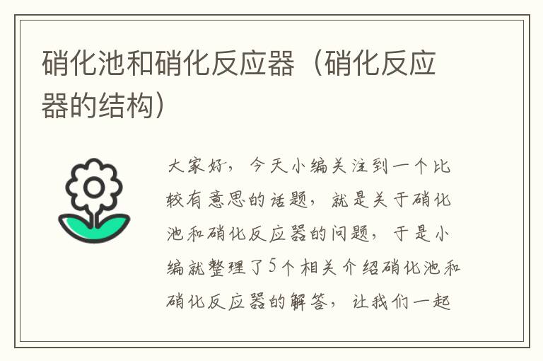 硝化池和硝化反应器（硝化反应器的结构）