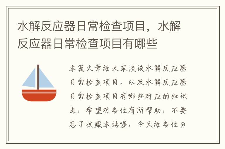 水解反应器日常检查项目，水解反应器日常检查项目有哪些