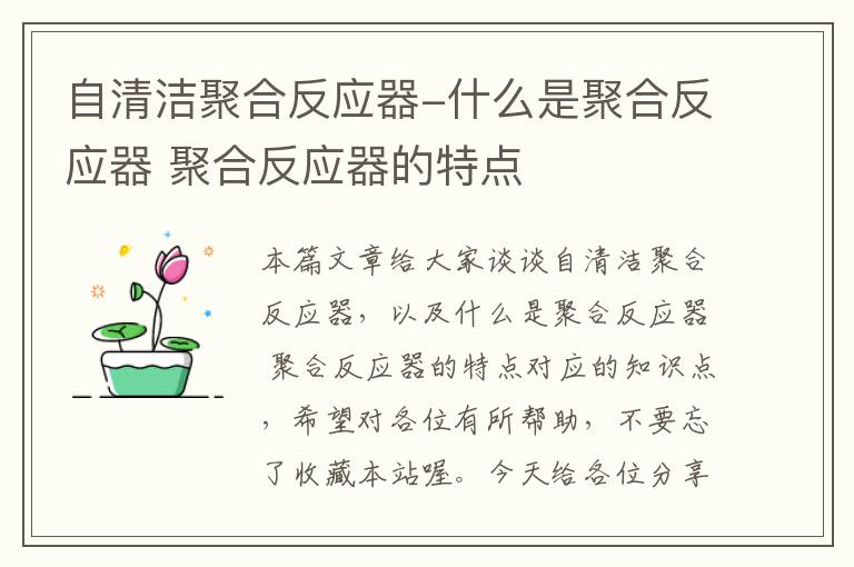 自清洁聚合反应器-什么是聚合反应器 聚合反应器的特点