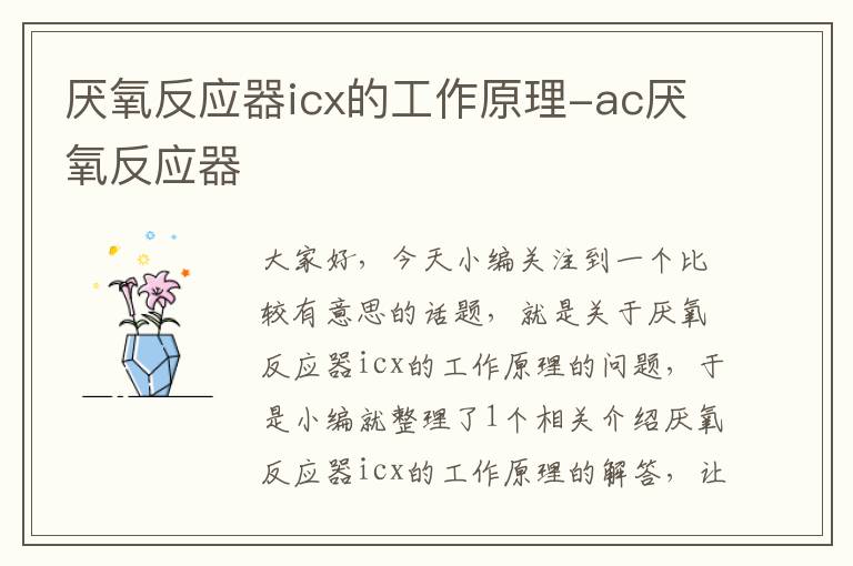 厌氧反应器icx的工作原理-ac厌氧反应器