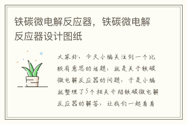 铁碳微电解反应器，铁碳微电解反应器设计图纸