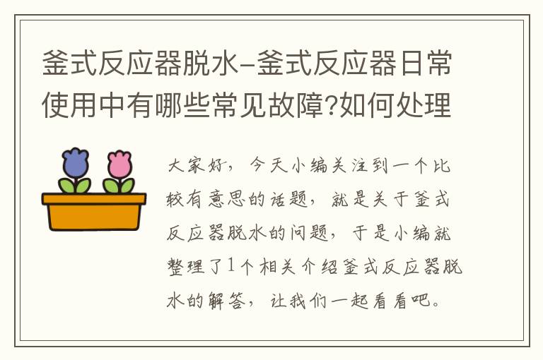 釜式反应器脱水-釜式反应器日常使用中有哪些常见故障?如何处理?