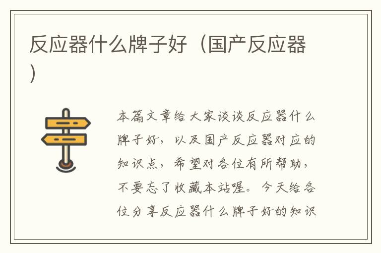 反应器什么牌子好（国产反应器）