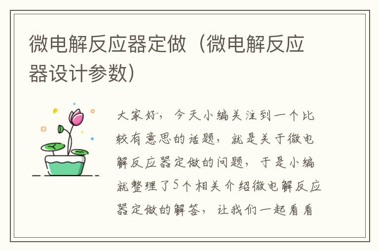 微电解反应器定做（微电解反应器设计参数）