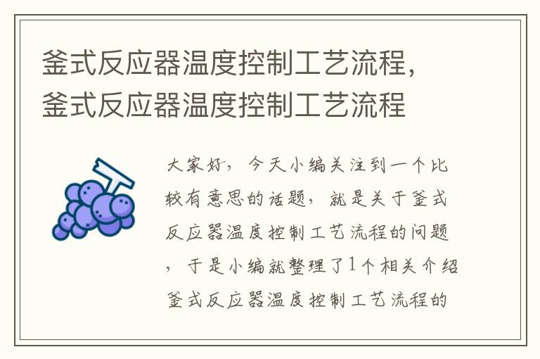 釜式反应器温度控制工艺流程，釜式反应器温度控制工艺流程