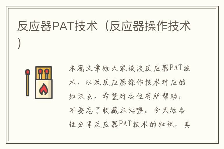 反应器PAT技术（反应器操作技术）