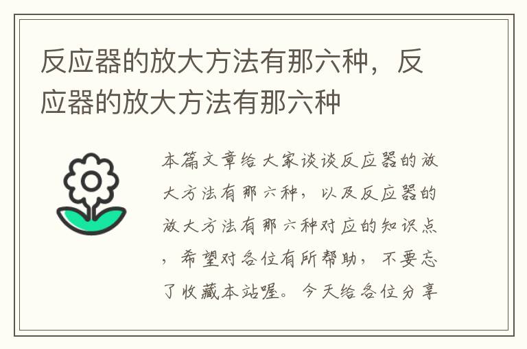 反应器的放大方法有那六种，反应器的放大方法有那六种