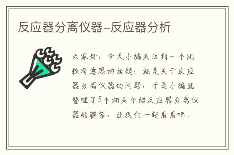 反应器分离仪器-反应器分析