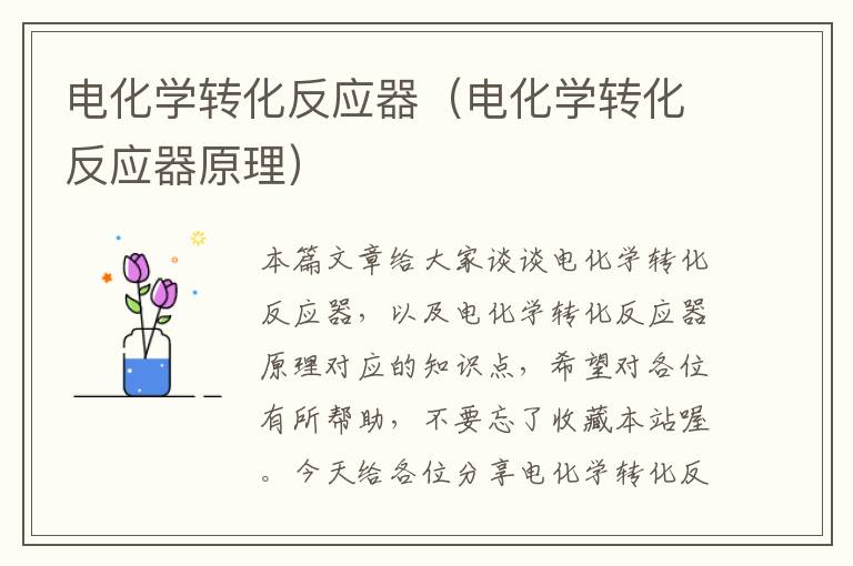 电化学转化反应器（电化学转化反应器原理）