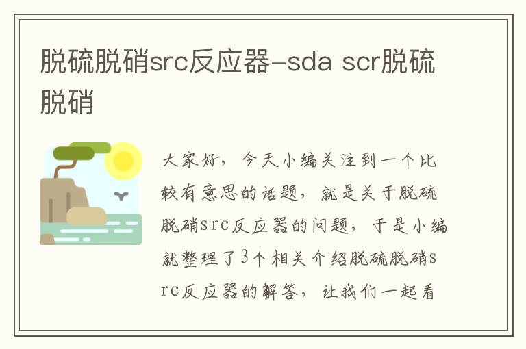 脱硫脱硝src反应器-sda scr脱硫脱硝