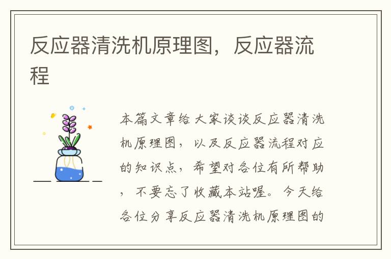 反应器清洗机原理图，反应器流程