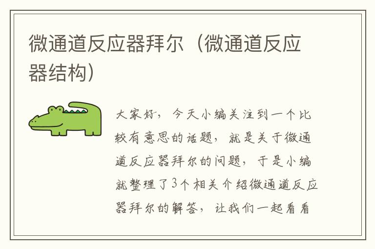 微通道反应器拜尔（微通道反应器结构）