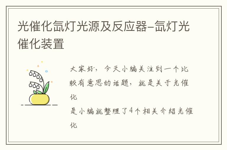 光催化氙灯光源及反应器-氙灯光催化装置