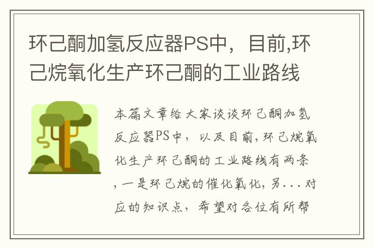 环己酮加氢反应器PS中，目前,环己烷氧化生产环己酮的工业路线有两条,一是环己烷的催化氧化,另...