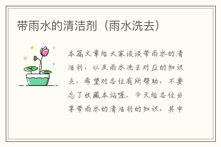 带雨水的清洁剂（雨水洗去）