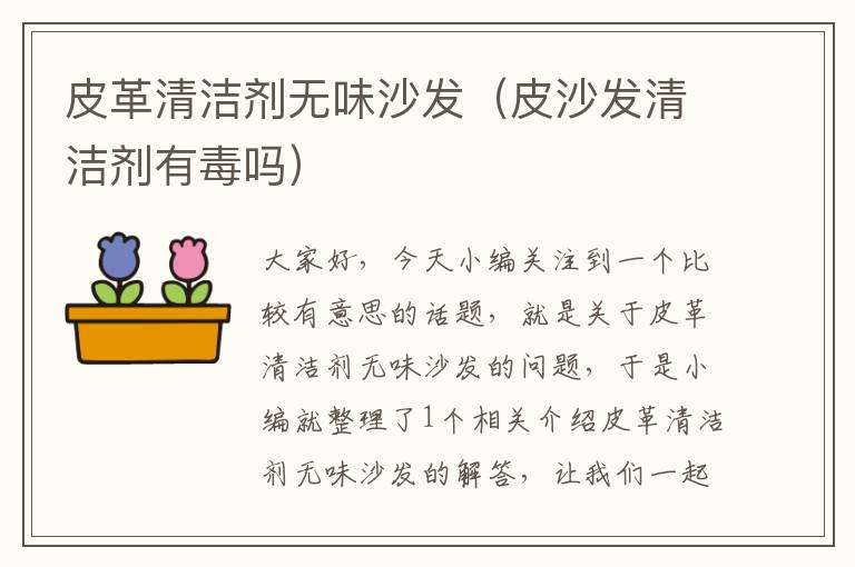 皮革清洁剂无味沙发（皮沙发清洁剂有毒吗）