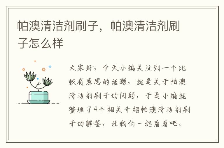 帕澳清洁剂刷子，帕澳清洁剂刷子怎么样