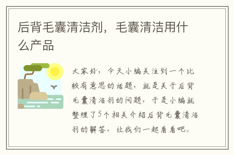 后背毛囊清洁剂，毛囊清洁用什么产品