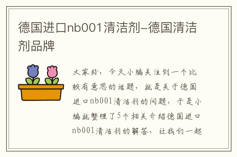 德国进口nb001清洁剂-德国清洁剂品牌