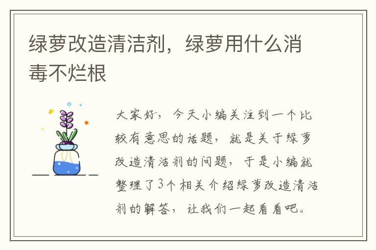 绿萝改造清洁剂，绿萝用什么消毒不烂根