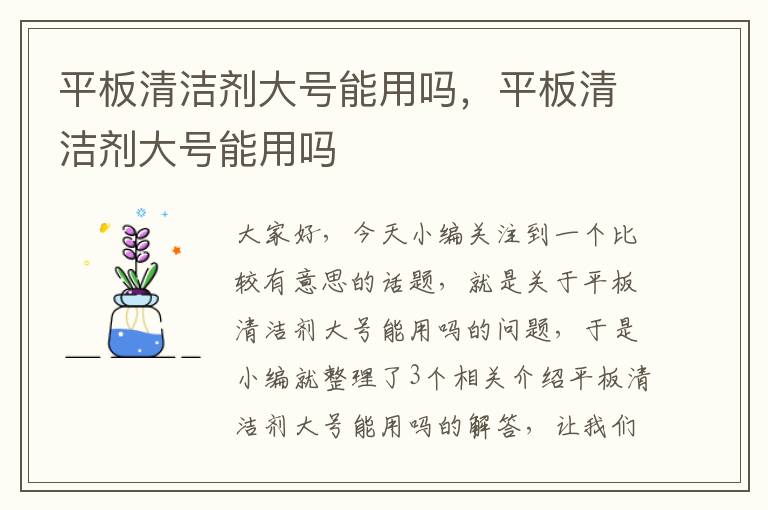 平板清洁剂大号能用吗，平板清洁剂大号能用吗