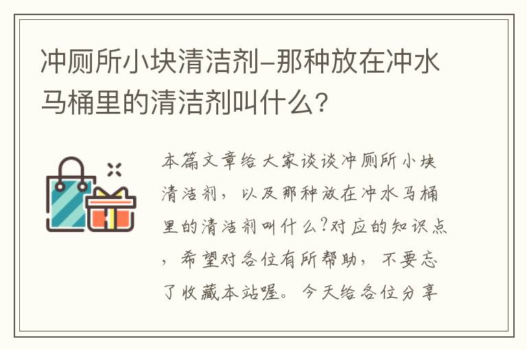 冲厕所小块清洁剂-那种放在冲水马桶里的清洁剂叫什么?