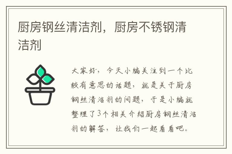 厨房钢丝清洁剂，厨房不锈钢清洁剂