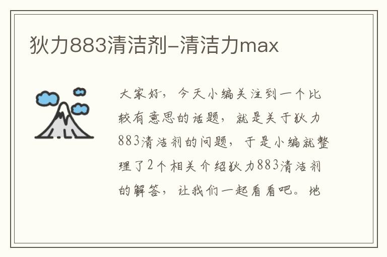 狄力883清洁剂-清洁力max