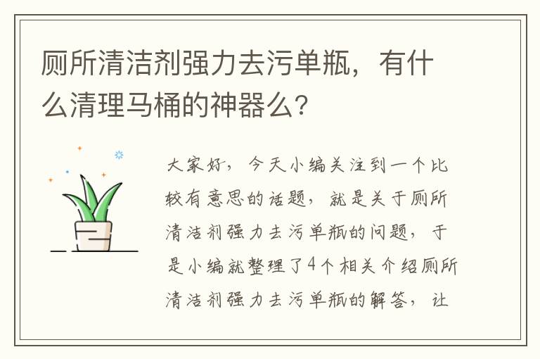 厕所清洁剂强力去污单瓶，有什么清理马桶的神器么?