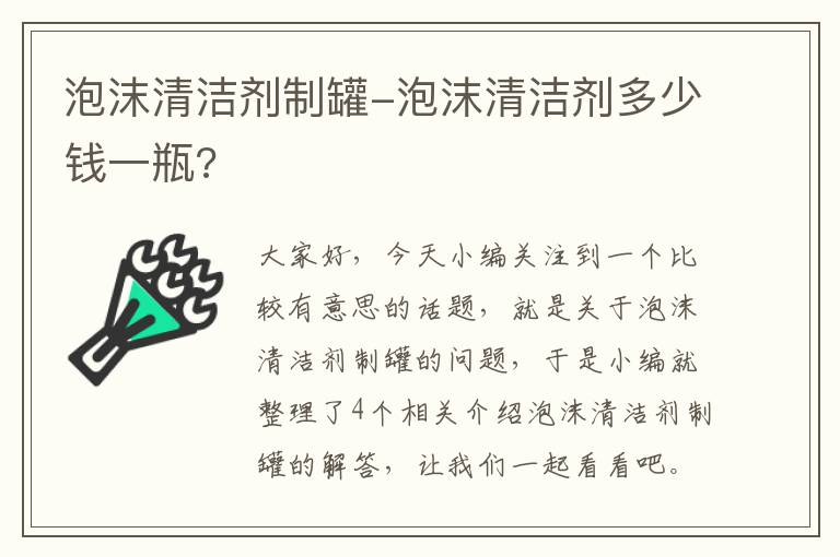 泡沫清洁剂制罐-泡沫清洁剂多少钱一瓶?