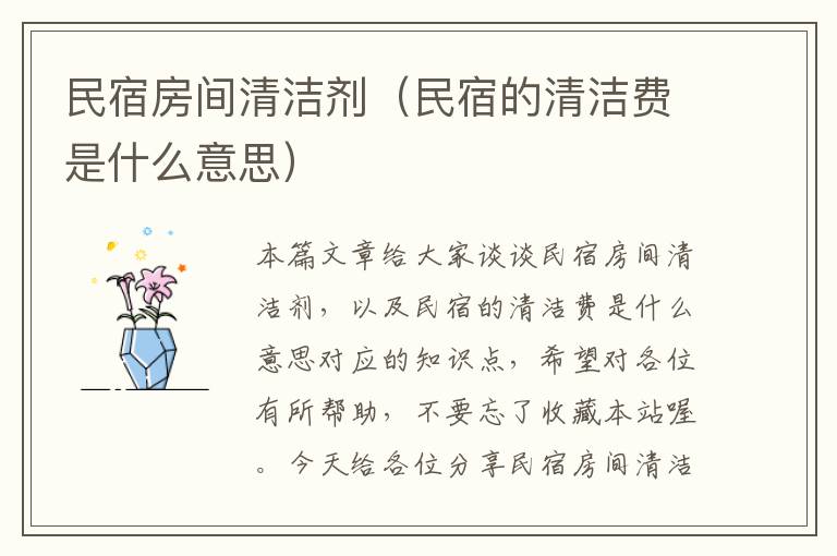 民宿房间清洁剂（民宿的清洁费是什么意思）