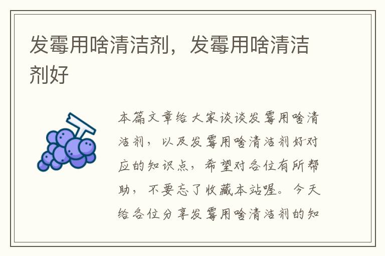 发霉用啥清洁剂，发霉用啥清洁剂好