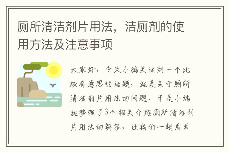 厕所清洁剂片用法，洁厕剂的使用方法及注意事项