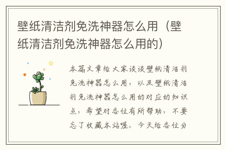 壁纸清洁剂免洗神器怎么用（壁纸清洁剂免洗神器怎么用的）