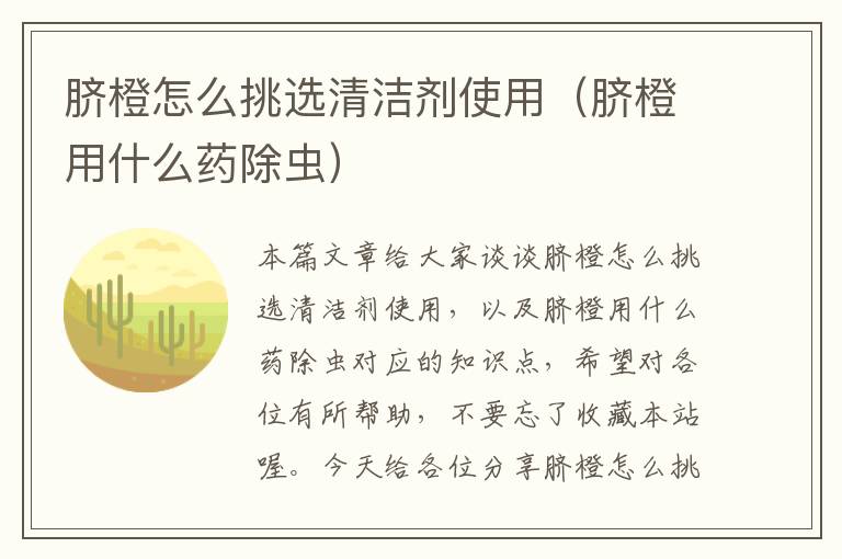 脐橙怎么挑选清洁剂使用（脐橙用什么药除虫）