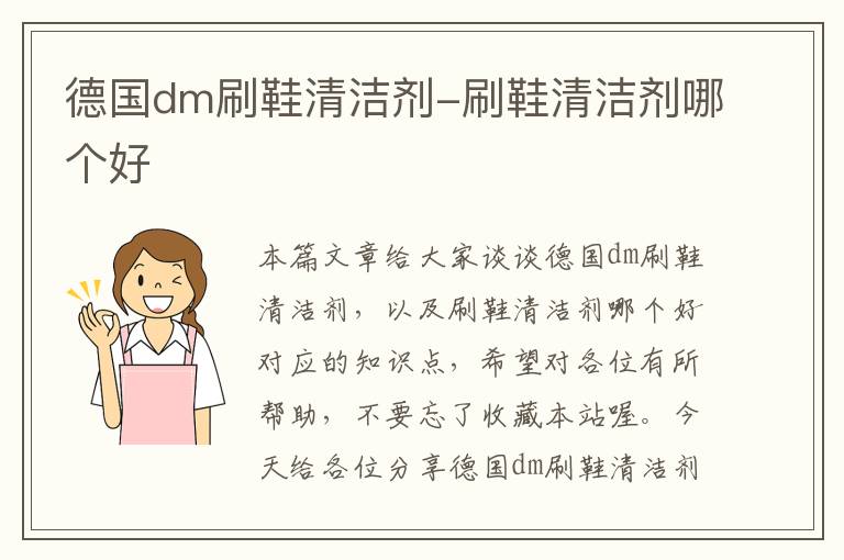 德国dm刷鞋清洁剂-刷鞋清洁剂哪个好