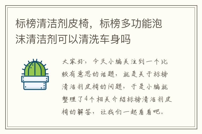 标榜清洁剂皮椅，标榜多功能泡沫清洁剂可以清洗车身吗