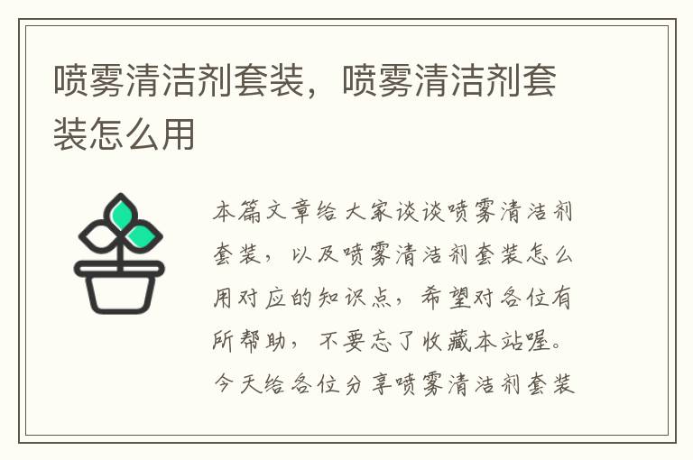 喷雾清洁剂套装，喷雾清洁剂套装怎么用