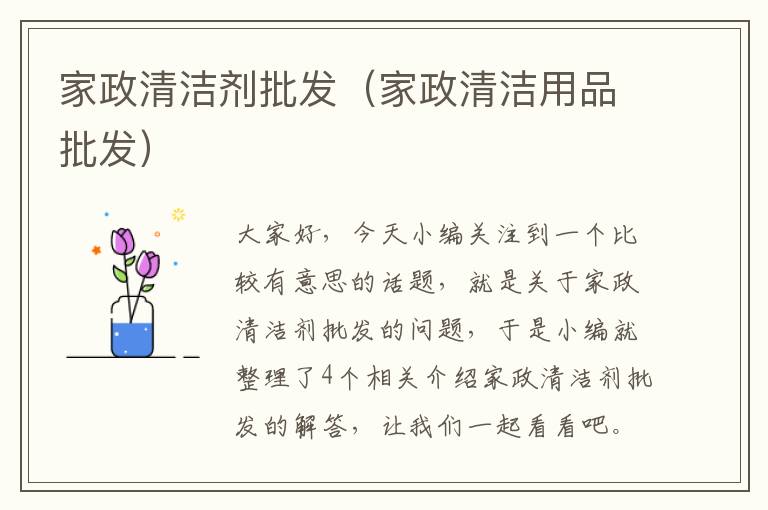 家政清洁剂批发（家政清洁用品批发）