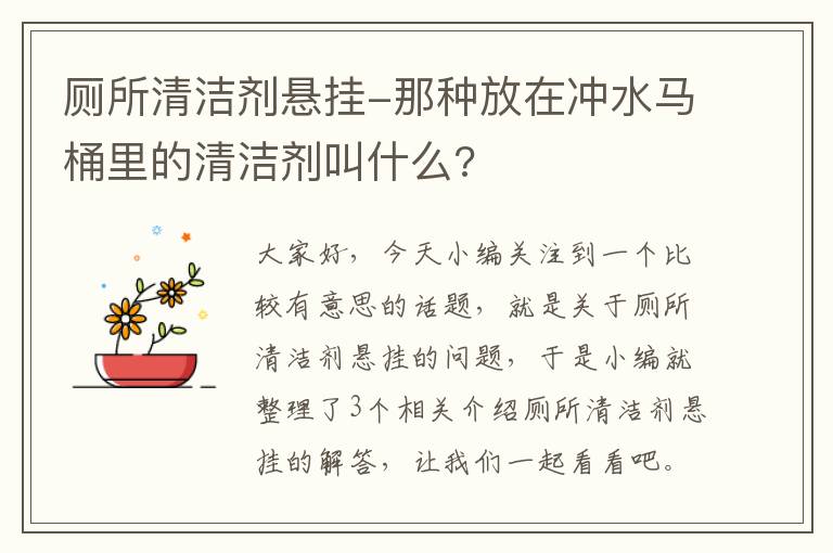 厕所清洁剂悬挂-那种放在冲水马桶里的清洁剂叫什么?