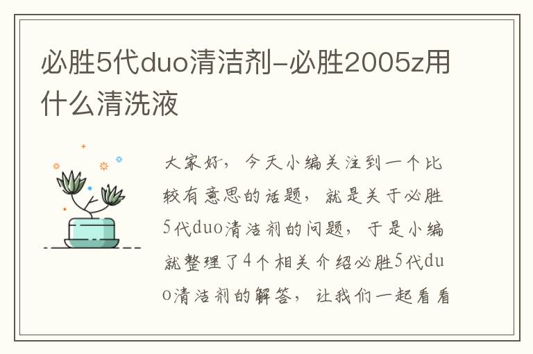 必胜5代duo清洁剂-必胜2005z用什么清洗液