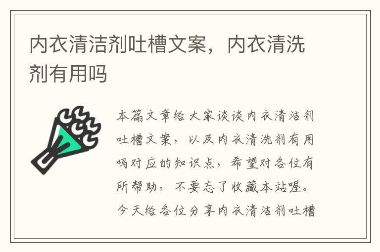 内衣清洁剂吐槽文案，内衣清洗剂有用吗